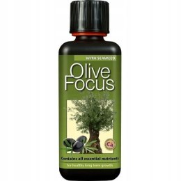 Olive Focus 300ml
